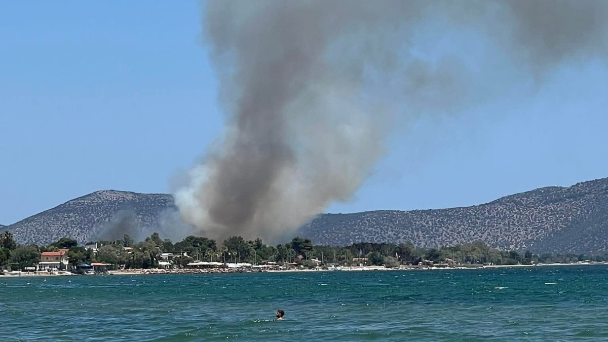 Καπνός