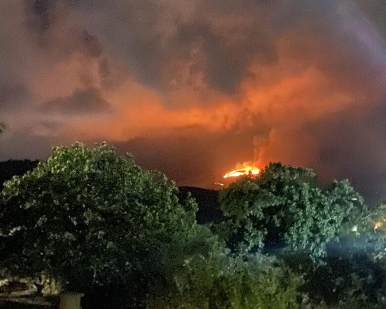 Φωτιά στη Μεσσηνία στην περιοχή Μεταμόρφωση – Πνέουν ισχυροί άνεμοι