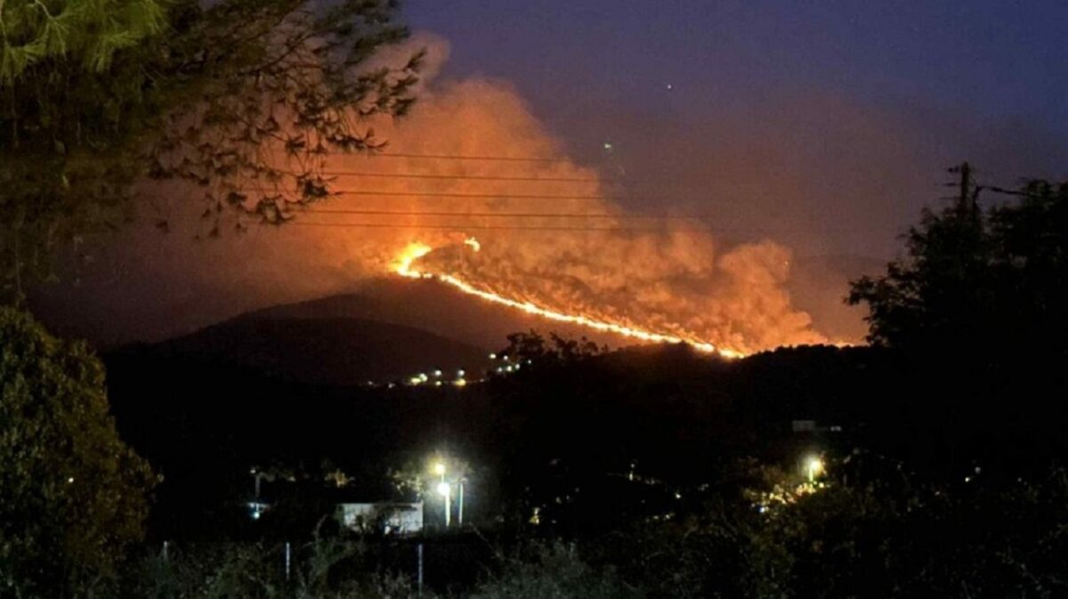Φωτιά στη Μεσσηνία
