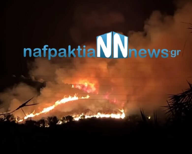 Φωτιά στη Ναυπακτία στη περιοχή Μακύνεια – Ισχυρές δυνάμεις στο σημείο