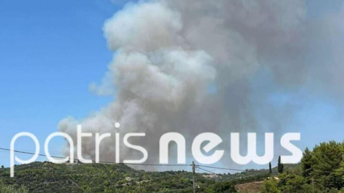 Φωτιά στο Γεράκι Αμαλιάδας