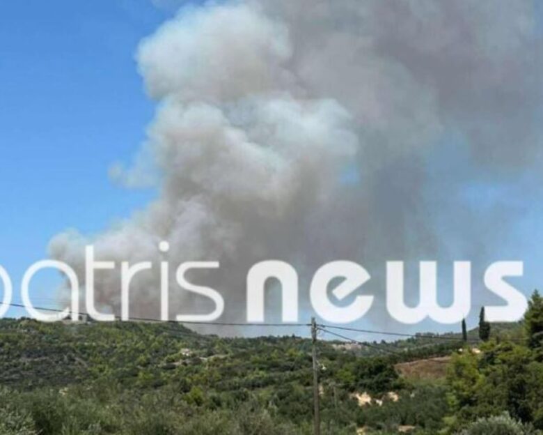 Φωτιά στην Αμαλιάδα – Ήχησε το 112 «παραμείνετε σε ετοιμότητα»