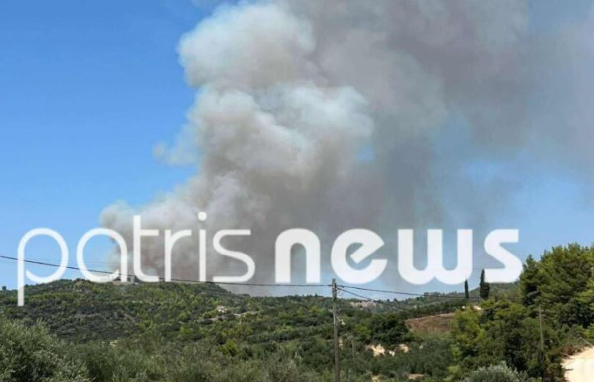 Φωτιά στο Γεράκι Αμαλιάδας