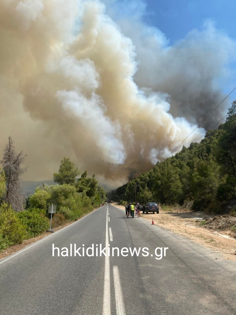 Φωτιά στη Χαλκιδική