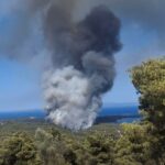 Φωτιά στη Βουρβουρού Χαλκιδικής