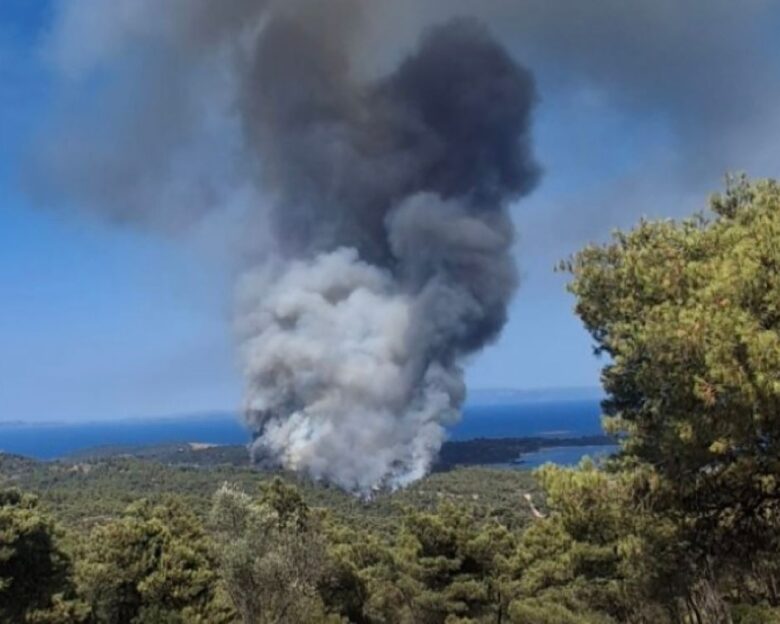 Φωτιά σε Χαλκιδική και Ιεράπετρα: Γιατί οι πυρκαγιές είχαν διαφορετική εικόνα – Τα δύο πρόσωπα του ίδιου φαινομένου