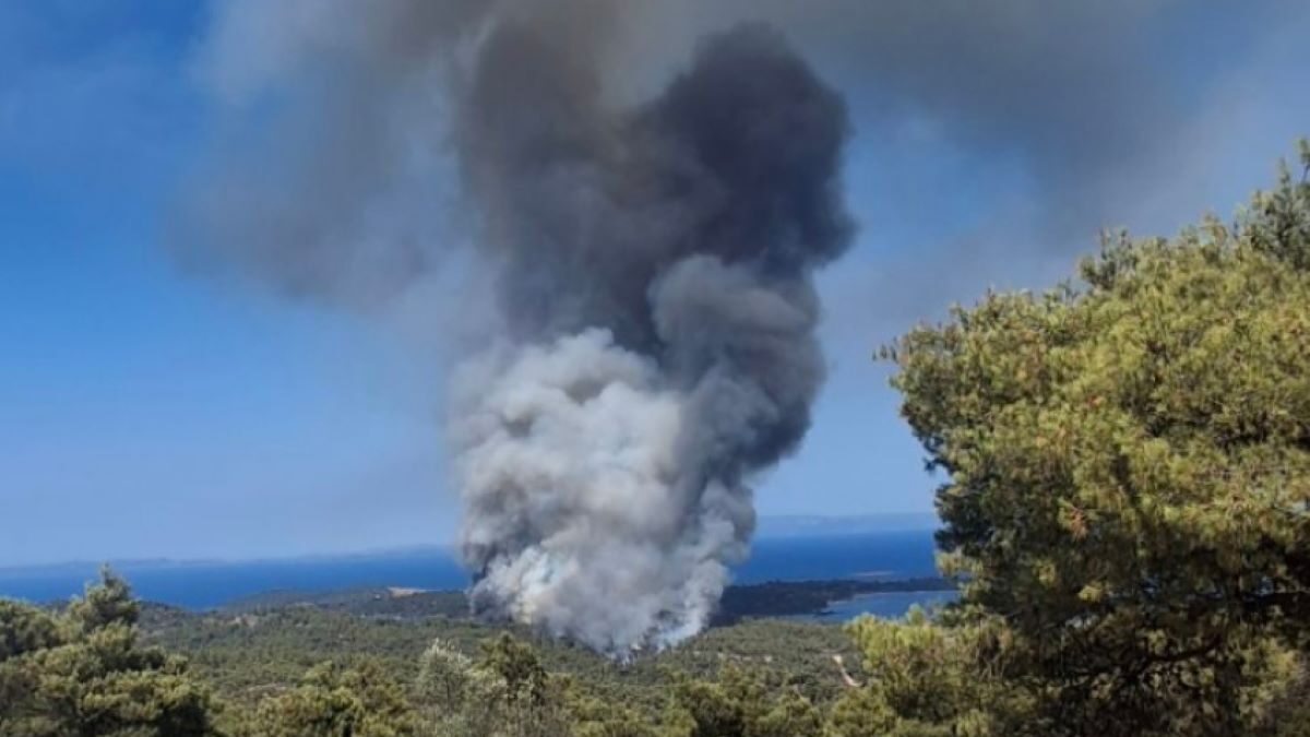 Φωτιά στη Χαλκιδική
