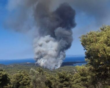 Φωτιά στη Χαλκιδική