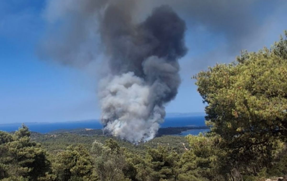 Φωτιά στη Χαλκιδική