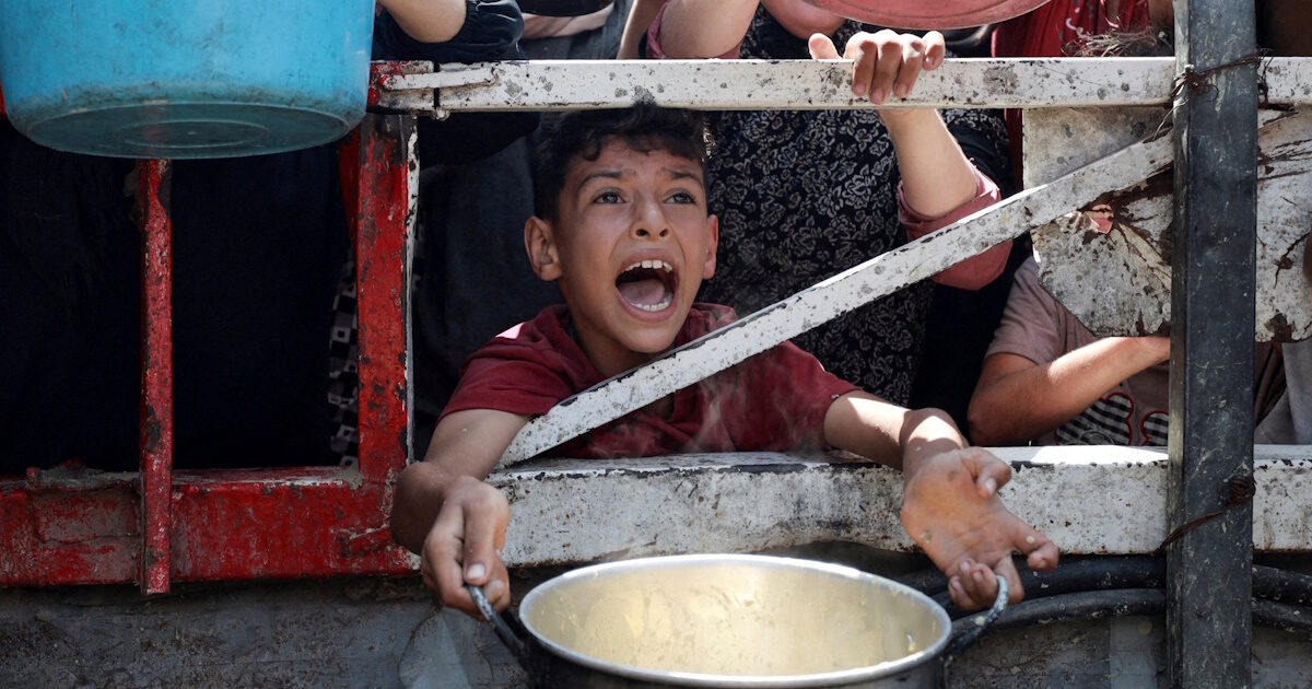 Gaza Strip: “There is famine, all the elements are here – Israel uses hunger as a war weapon”