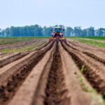 A tractor works the Agriculture potato Field on a summer day