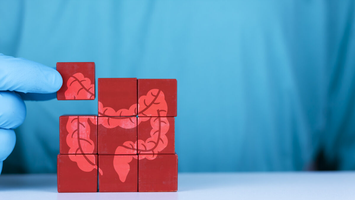 Voluntary intestine donation concept. Crohn's disease and ulcerative colitis. The doctor organizes the wooden cubes with the icon of the large intestine