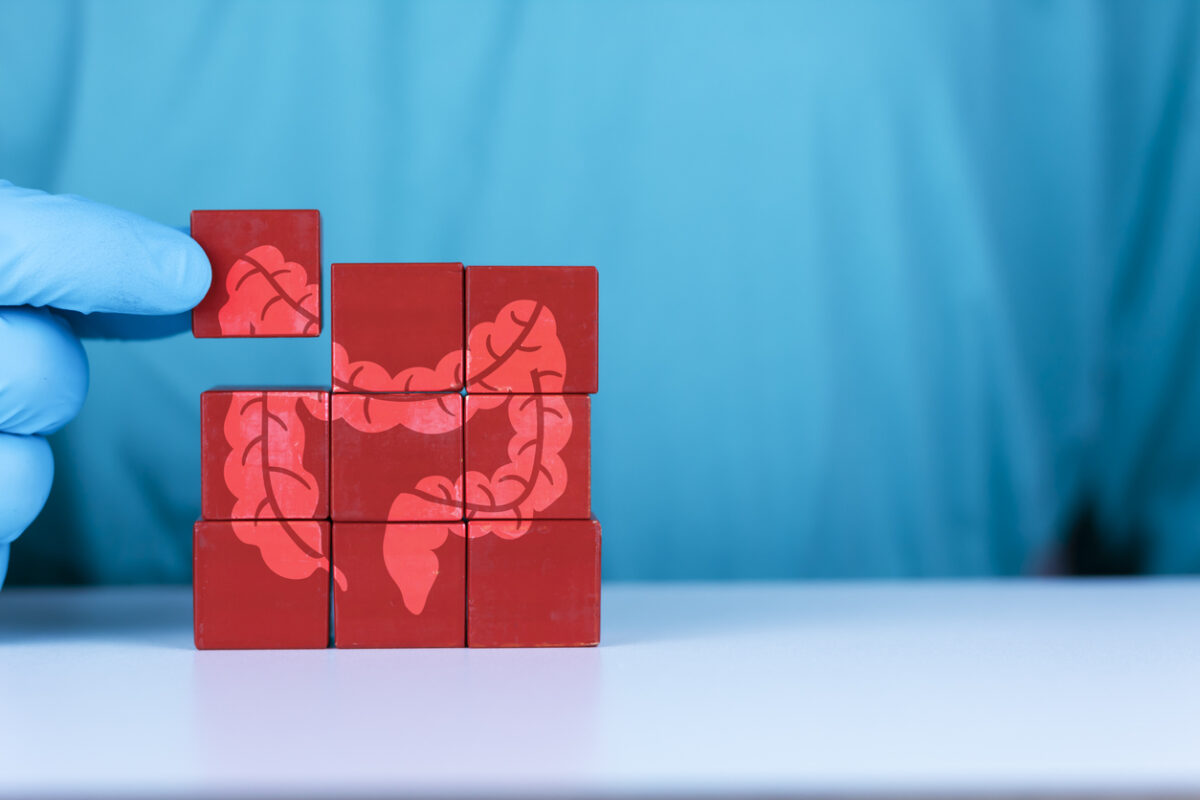 Voluntary intestine donation concept. Crohn's disease and ulcerative colitis. The doctor organizes the wooden cubes with the icon of the large intestine