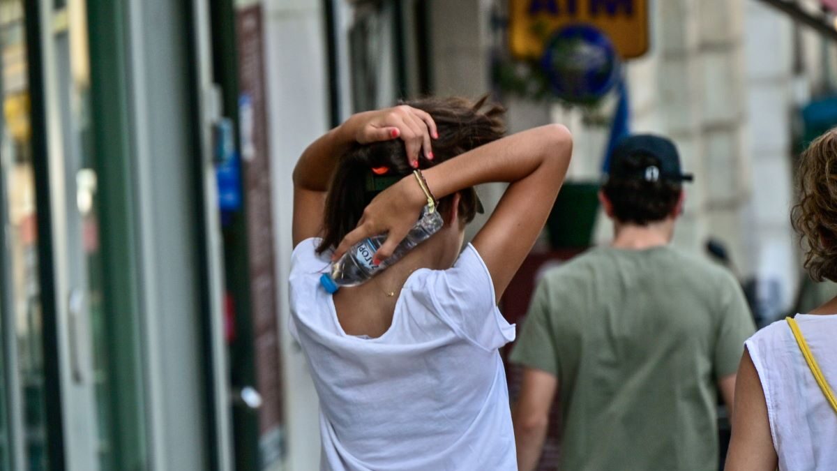 ΜΙΧΑΛΗΣ ΠΑΠΑΝΙΚΟΛΑΟΥ