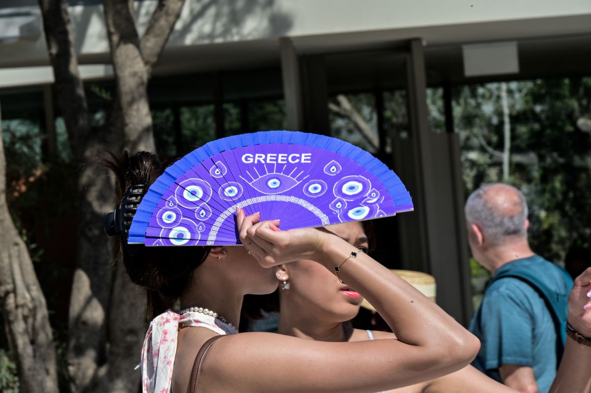 ΜΙΧΑΛΗΣ ΠΑΠΑΝΙΚΟΛΑΟΥ