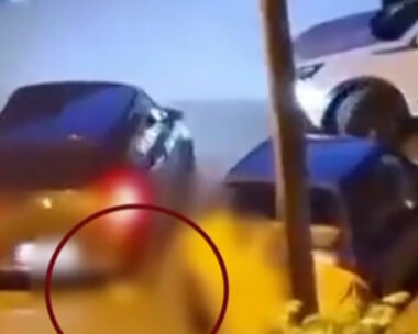 Η στιγμή που πατάει το γατάκι