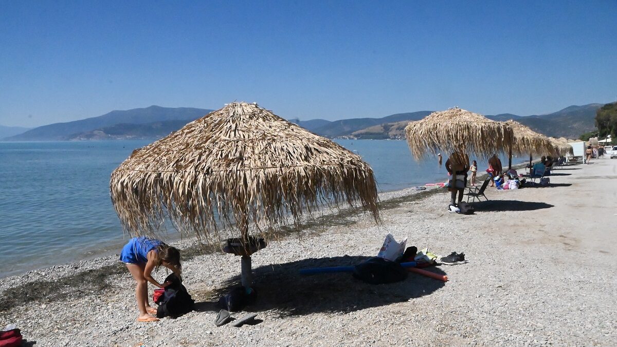 ΠΑΠΑΔΟΠΟΥΛΟΣ ΒΑΣΙΛΗΣ
