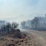 Βίντεο από τη στιγμή που ξέσπασε η φωτιά στο Κορωπί – Η κολόνα ρεύματος και το ακαθάριστο οικόπεδο