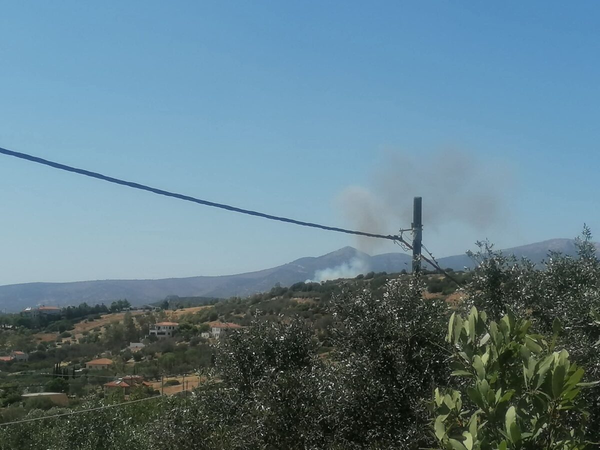 Φωτιά στο Κορωπί