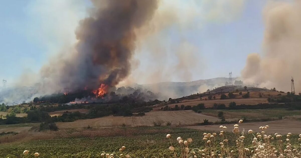 Fire alarm in Kozani, between Mavropigi and Pontocomi – Traffic stop in Egnatia