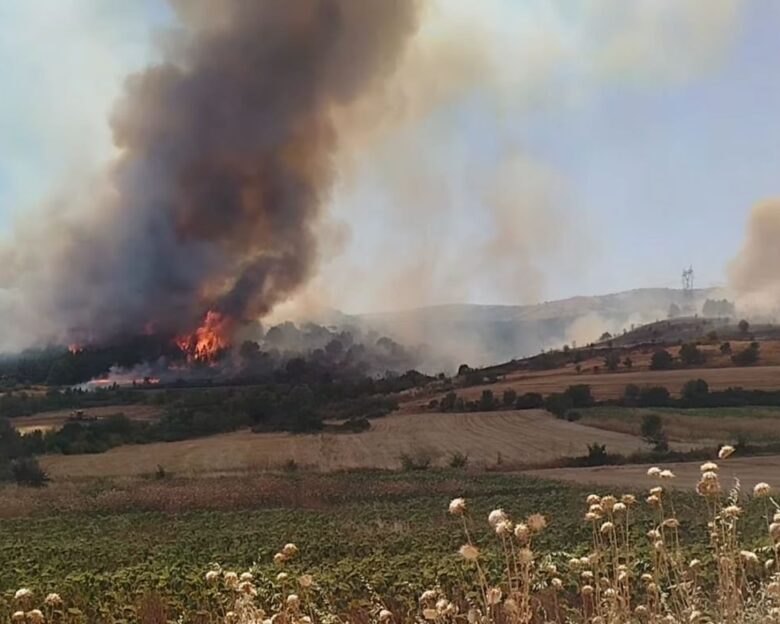 Συναγερμός για φωτιά στην Κοζάνη, μεταξύ Μαυροπηγής και Ποντοκώμης – Διακοπή κυκλοφορίας στην Εγνατίας