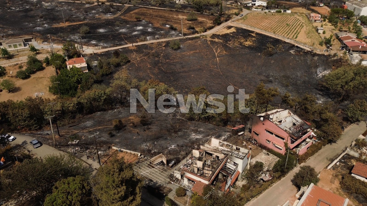 Καμένα σπίτια και δέντρα από ψηλά στο Κρυονέρι