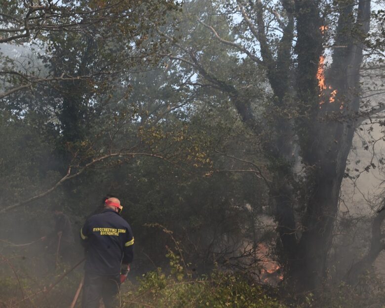Μεγάλη φωτιά στη Λάρυμνα Φθιώτιδας – Σηκώθηκαν εναέρια μέσα