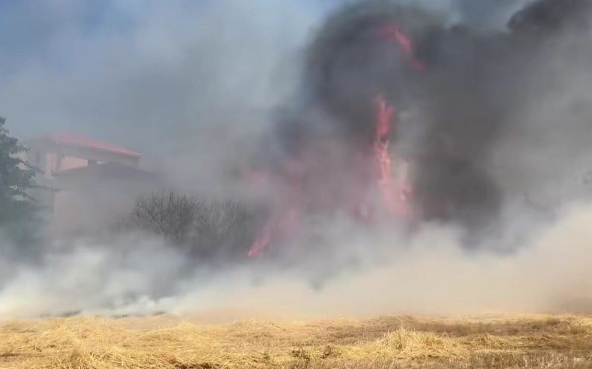 Φωτιά στη Λέσβο στην περιοχή Κεράμι Καλλονής – Ισχυροί άνεμοι στην περιοχή
