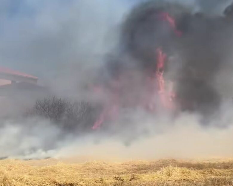 Φωτιά στη Λέσβο στην περιοχή Κεράμι Καλλονής – Ισχυροί άνεμοι στην περιοχή