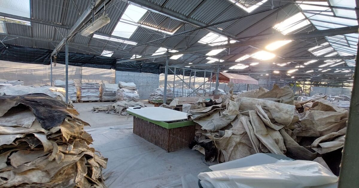 Pikermi: Hid 30 cocaine leather pallets hiding – with special solvents or drug recovery