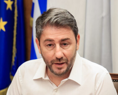Νίκος Ανδρουλάκης