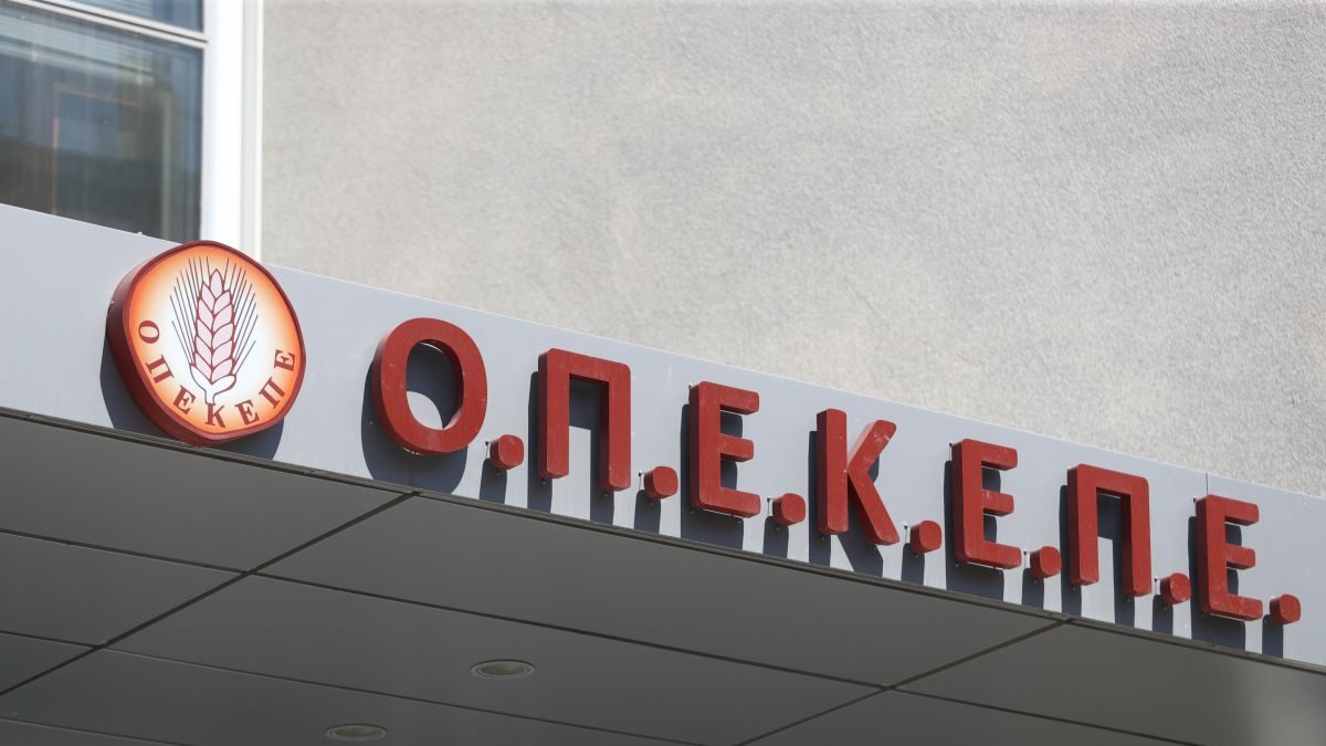 ΣΩΤΗΡΗΣ ΔΗΜΗΤΡΟΠΟΥΛΟΣ