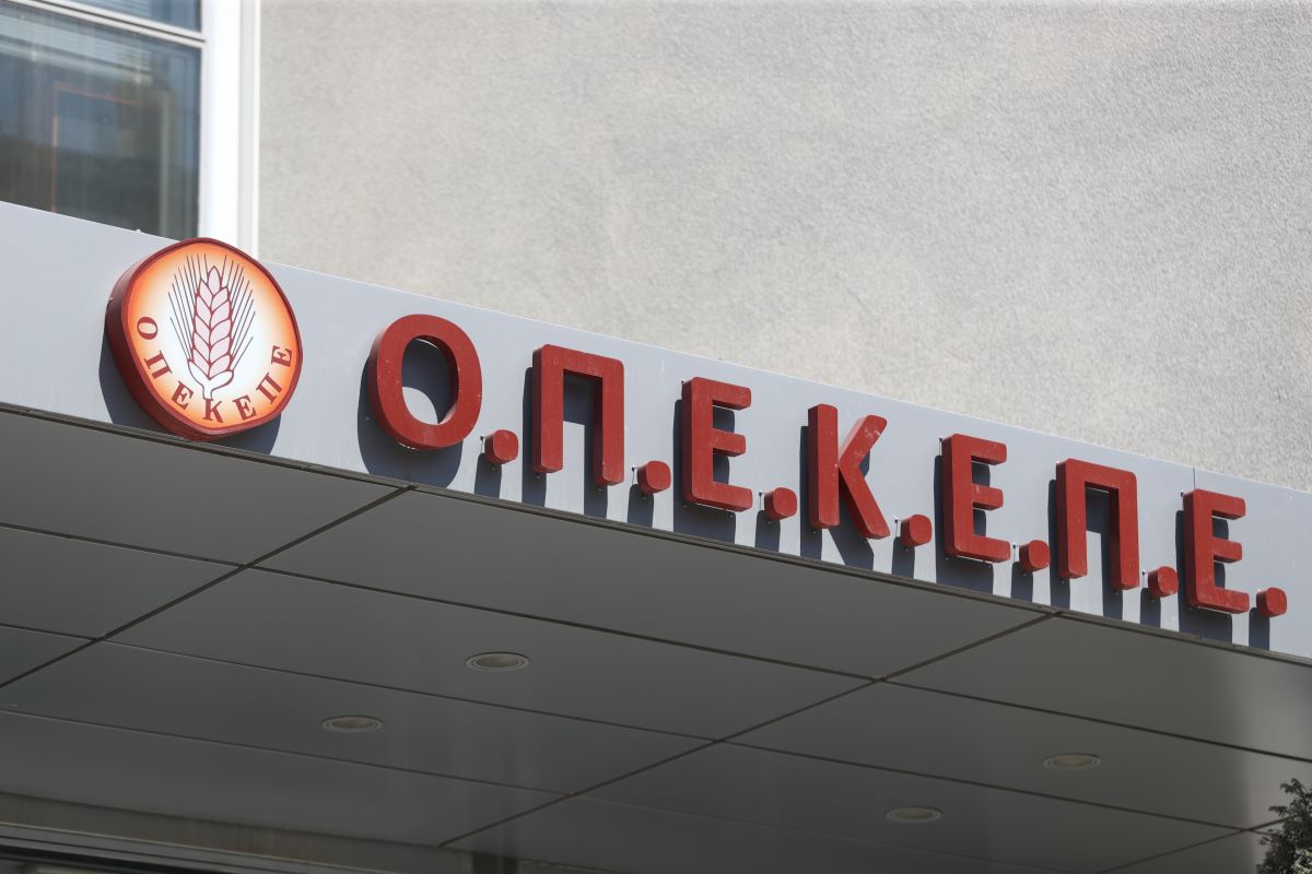 ΣΩΤΗΡΗΣ ΔΗΜΗΤΡΟΠΟΥΛΟΣ