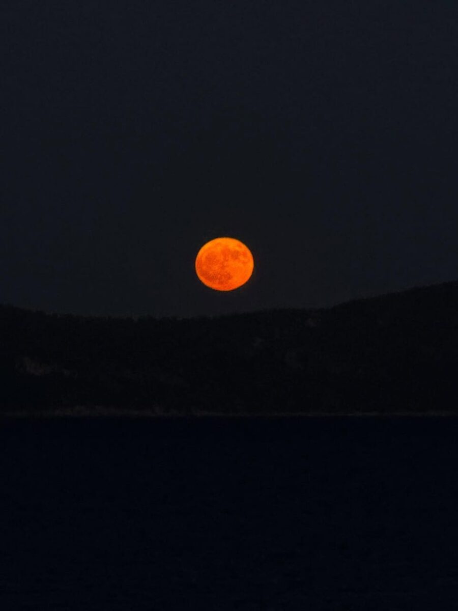 Πανσέληνος