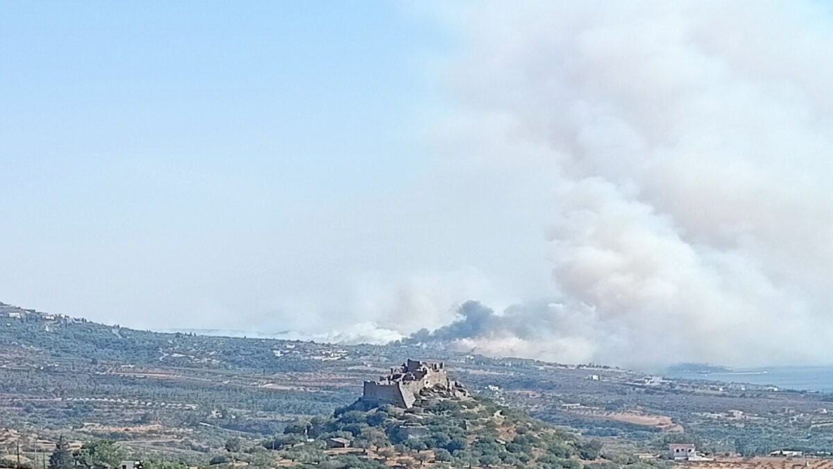 Πυρκαγιά Λακωνία