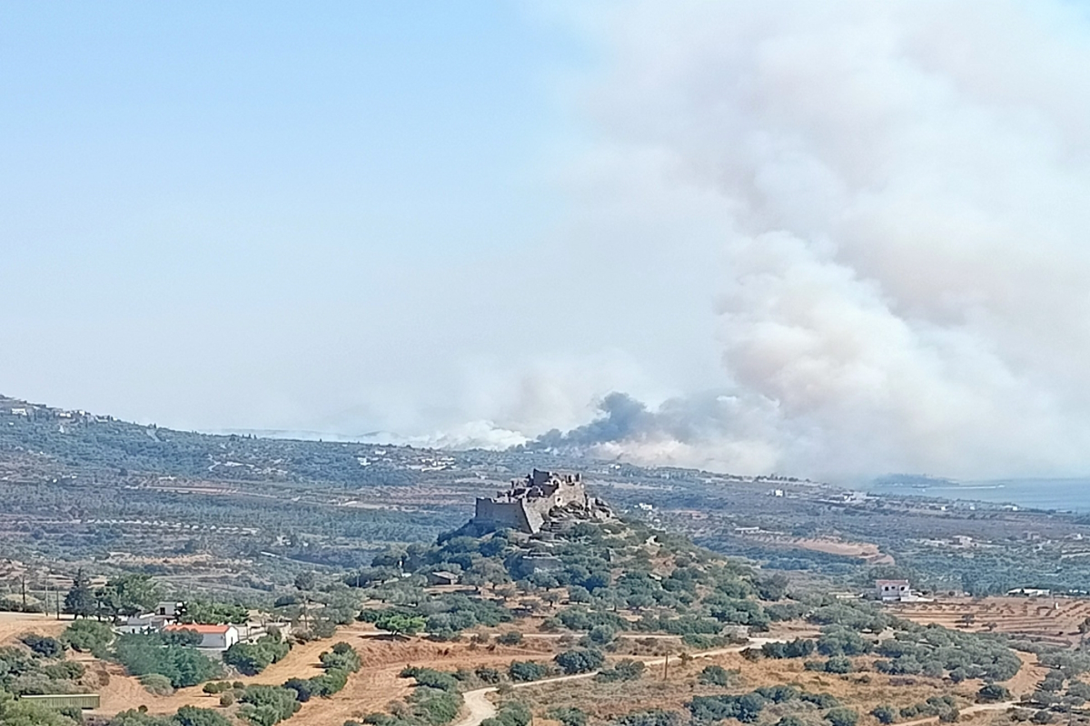 Πυρκαγιά Λακωνία