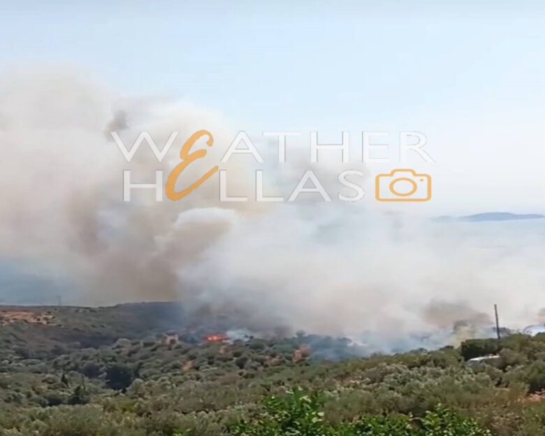 Φωτιά στην Λακωνία: Ήχησε το 112 – Επιχειρούν και εναέρια μέσα