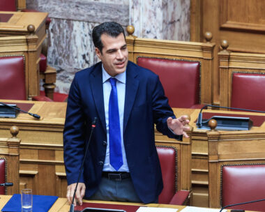 Θάνος Πλεύρης