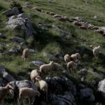 ΦΩΤΟΓΡΑΦΙΑ ΑΝΤΩΝΗΣ ΝΙΚΟΛΟΠΟΥΛΟΣ