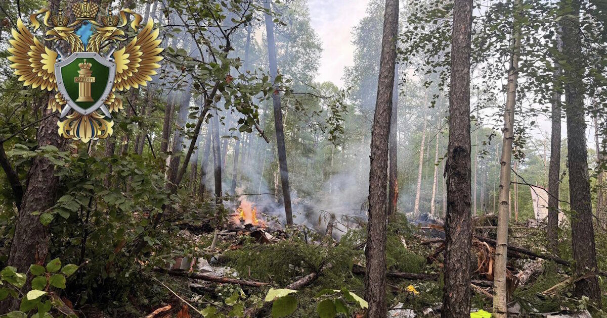 Tragedy in Russia: Passenger plane crashed in Amour – dead crew and passengers