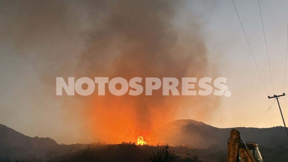 Η φωτιά στη Λακωνία ξέσπασε αργά το βράδυ της Κυριακής