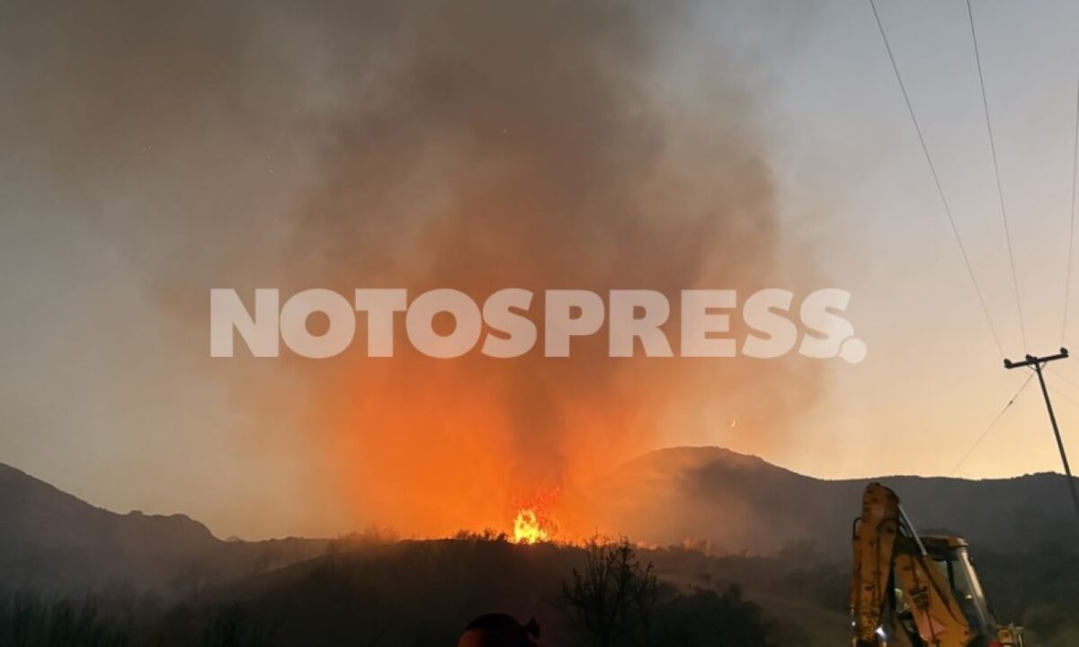 Η φωτιά στη Λακωνία ξέσπασε αργά το βράδυ της Κυριακής
