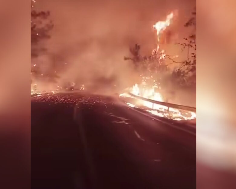 Φωτιά στη Θάσο: Εκτός ελέγχου το πύρινο μέτωπο – Καταστράφηκε επιχείρηση, εκκενώθηκαν ξενοδοχεία