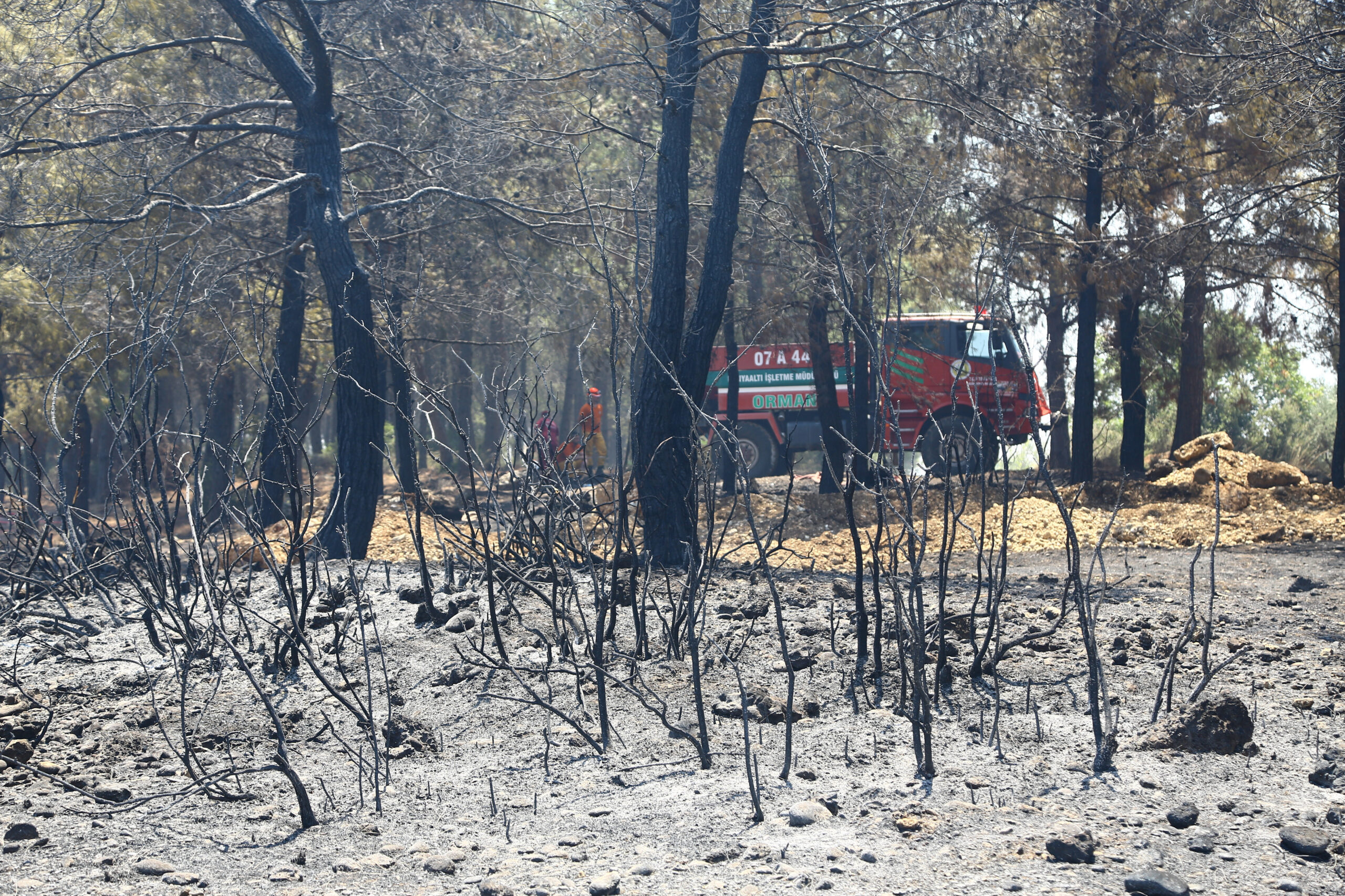 Πυροσβεστικό όχημα πίσω από καμένα δέντρα μετά από πυρκαγιά στην Αττάλεια / REUTERS / Kaan Soyturk