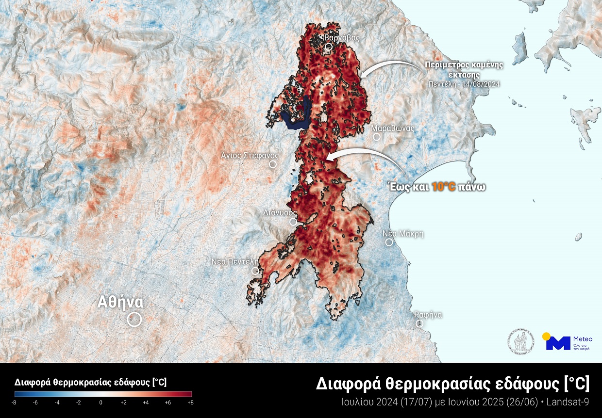 Χάρτης