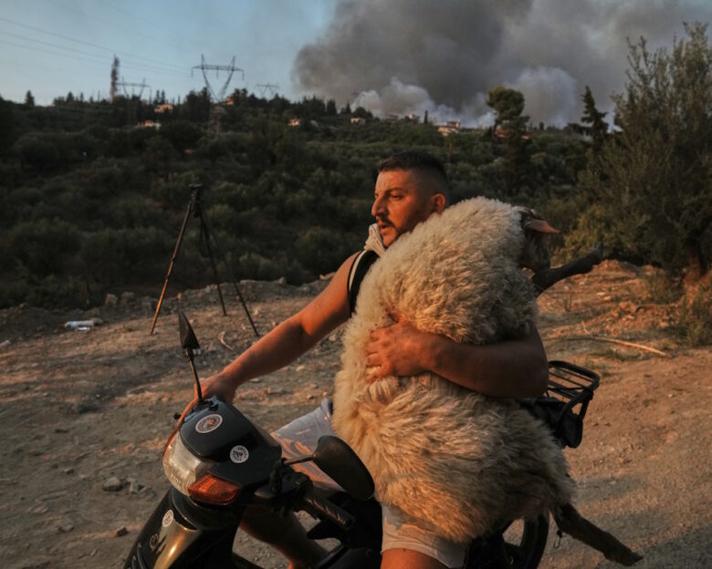 Συγκλονιστικές εικόνες από τη φωτιά στην Πάτρα – 15 φωτογραφικά κλικ μέσα από τον πύρινο εφιάλτη