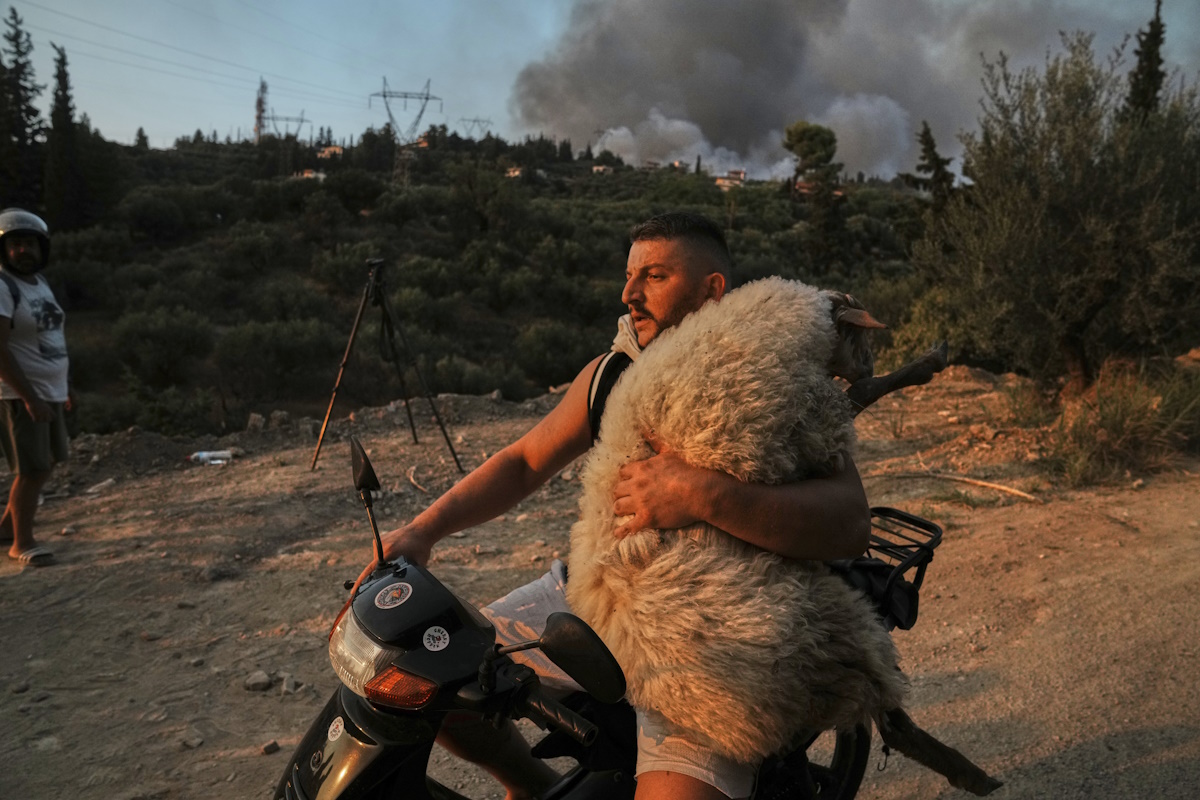 Φωτιά στην Πάτρα