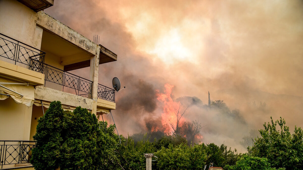 Στιγμιότυπο από τη φωτιά στην Αχαΐα