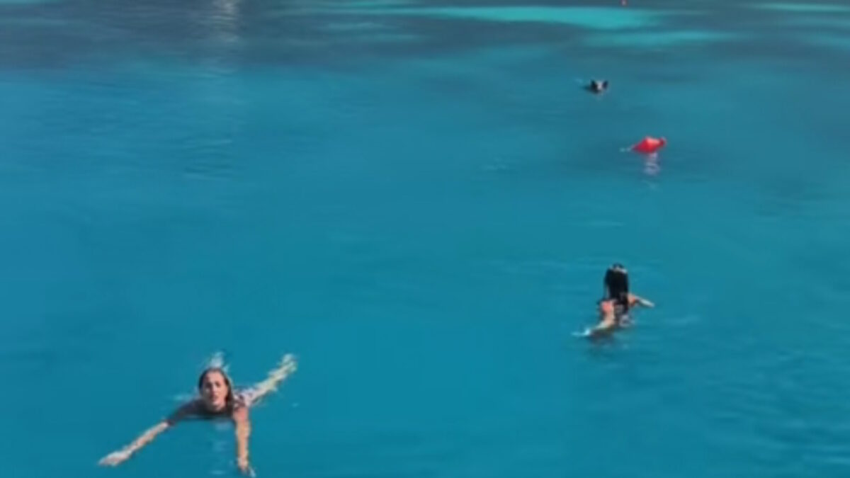Αγριογούρουνο καταδιώκει τουρίστριες μέσα στη θάλασσα