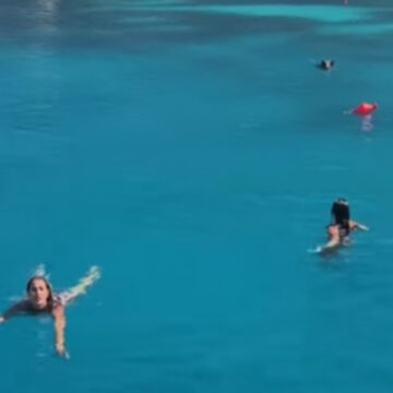 Αγριογούρουνο καταδιώκει τουρίστριες μέσα στη θάλασσα